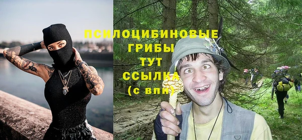 МДПВ Остров