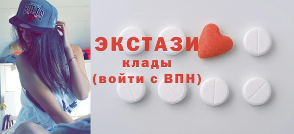 дживик Туринск