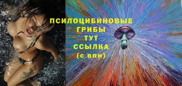 МДПВ Остров