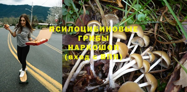МДПВ Остров