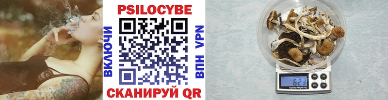 omg   хочу   Козловка  Галлюциногенные грибы GOLDEN TEACHER 